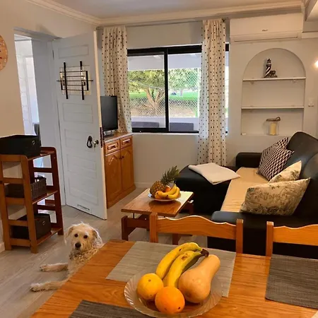Apartamento Central Flat Nice Pool *